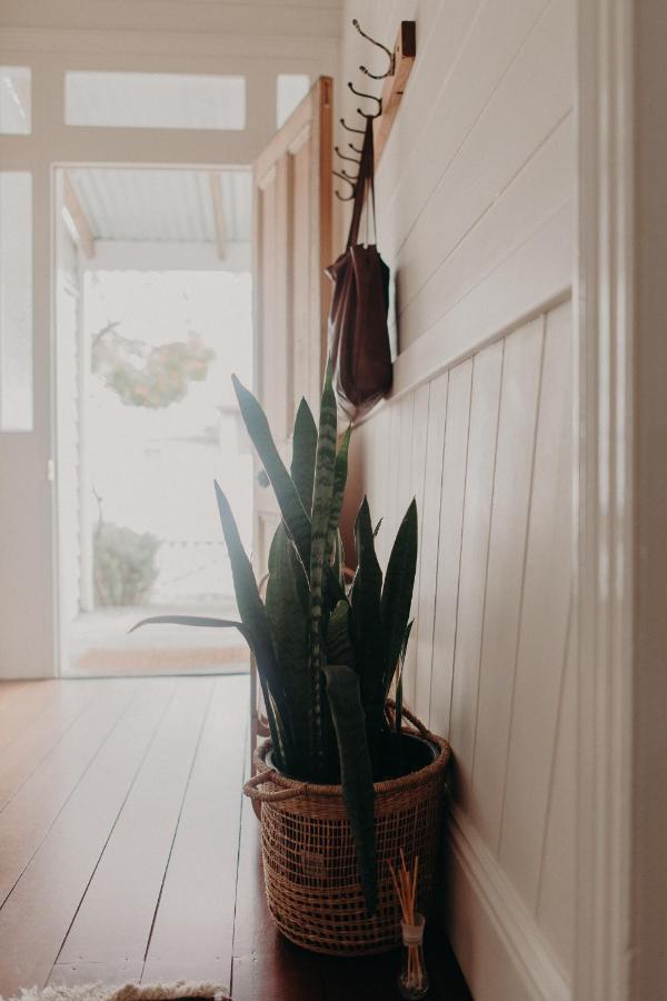 The Allotment Albany - Centrally Located Cottage In Old 올버니 외부 사진
