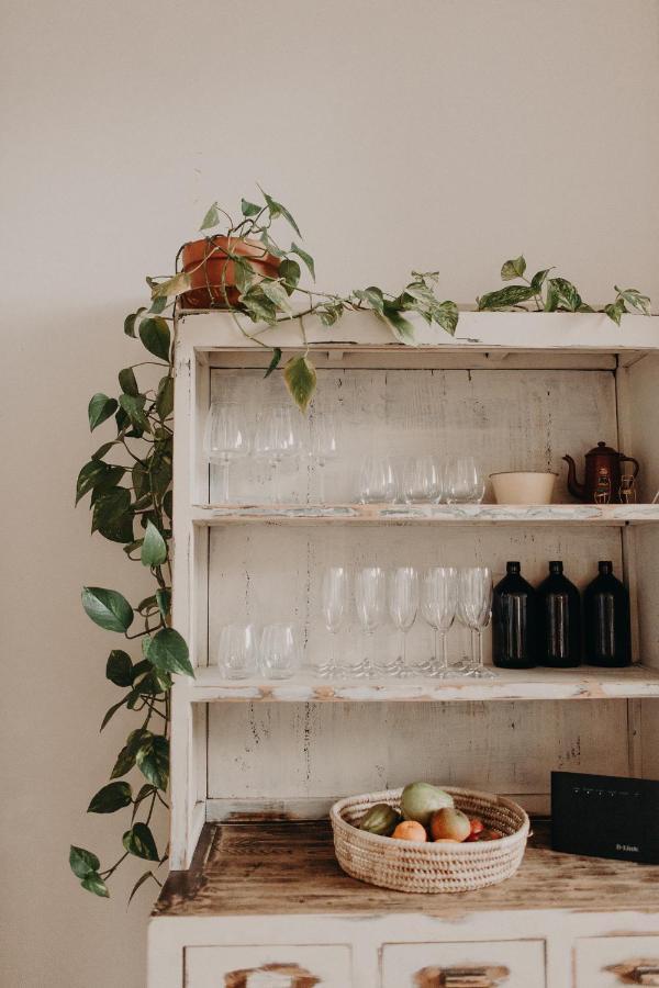 The Allotment Albany - Centrally Located Cottage In Old 올버니 외부 사진