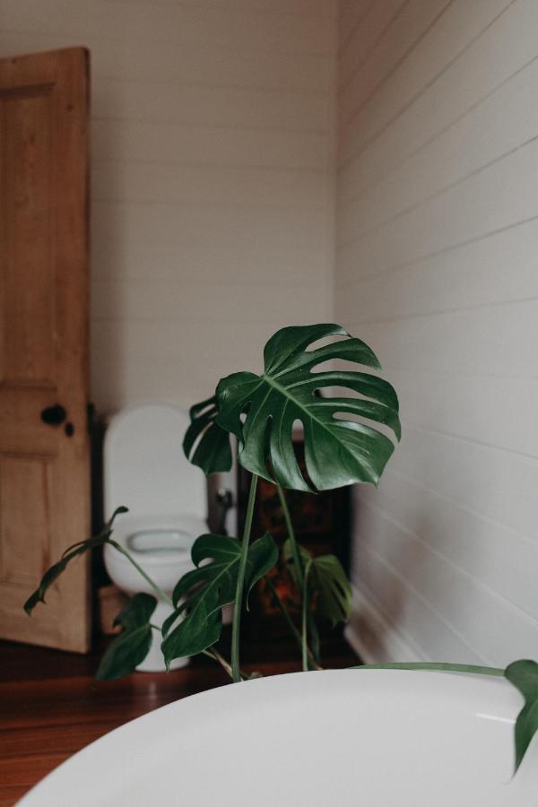 The Allotment Albany - Centrally Located Cottage In Old 올버니 외부 사진